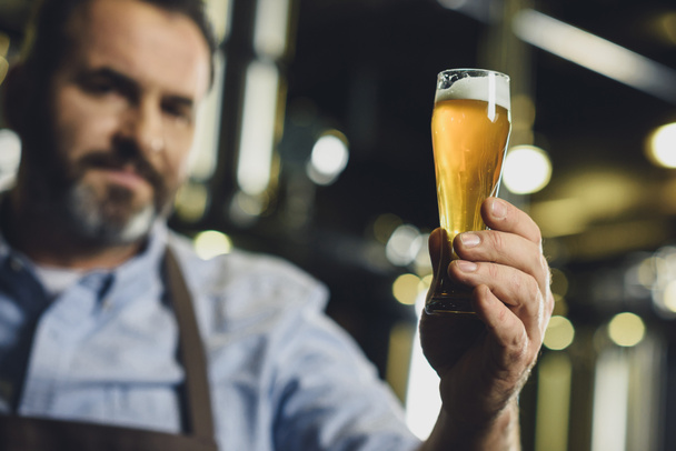 Lavoratore birreria con bicchiere di birra
 - Foto, immagini