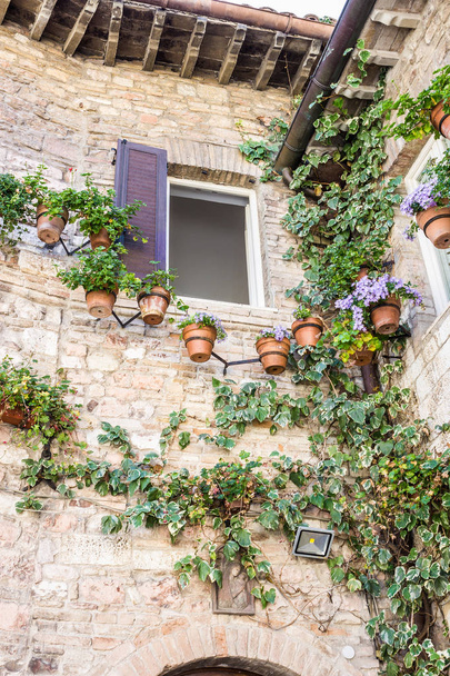 Stone mansion decorated with flowerpots and climber plants - Foto, Imagem