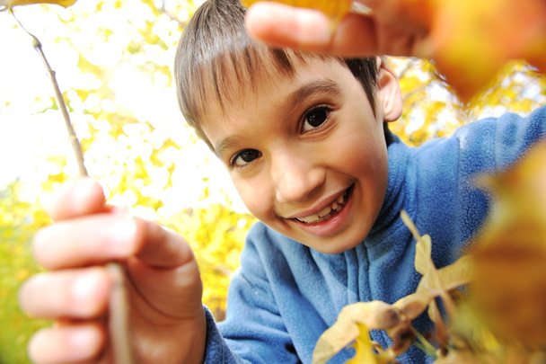 Happy kid and autumn leaves in a park - Foto, Imagen