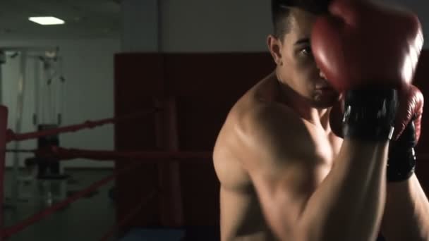 Young male sportsman athlete training in boxing gym - Video, Çekim