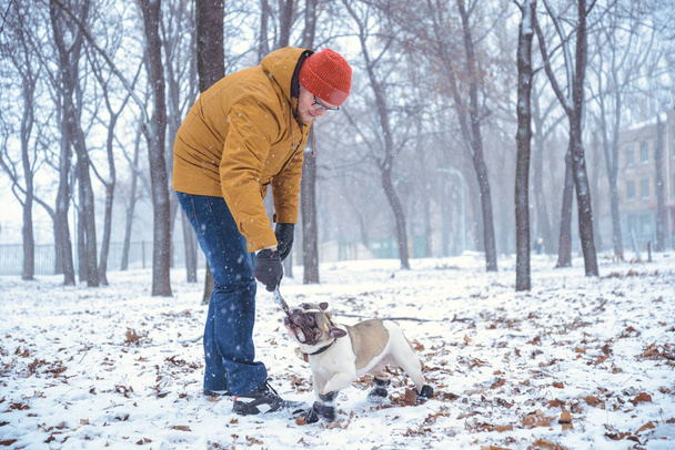 Franse Bulldog hond playingin de winter met man - Foto, afbeelding