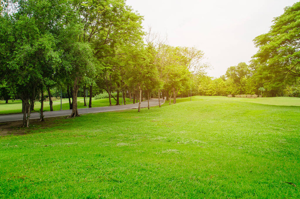 campo de hierba verde en el parque de la ciudad grande
 - Foto, imagen