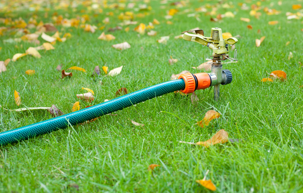 zraszania trawnika w ogrodzie jesień - Zdjęcie, obraz