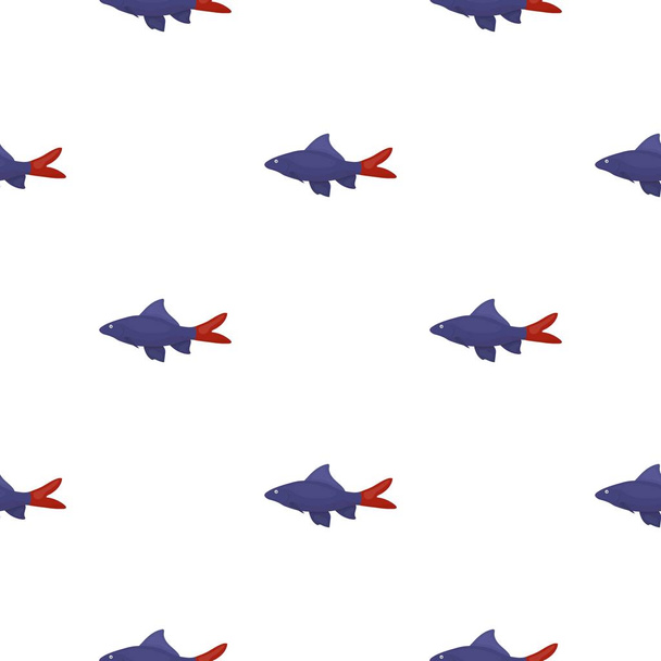Red Tail Shark fish icon cartoon. Singe aquarium fish icon from the sea,ocean life cartoon. - Vetor, Imagem