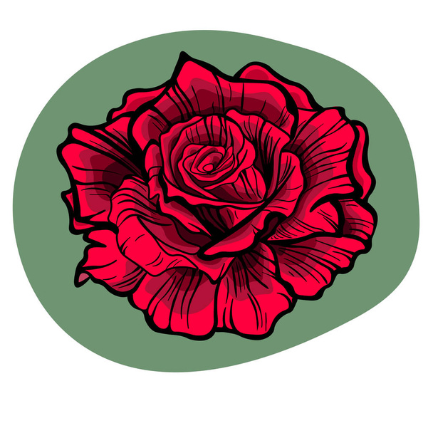 Red rose isolated - Vektor, kép