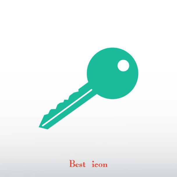 door key icon - Vetor, Imagem