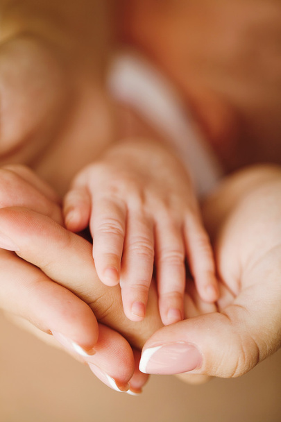 Newborn baby feet on female hands - Fotografie, Obrázek