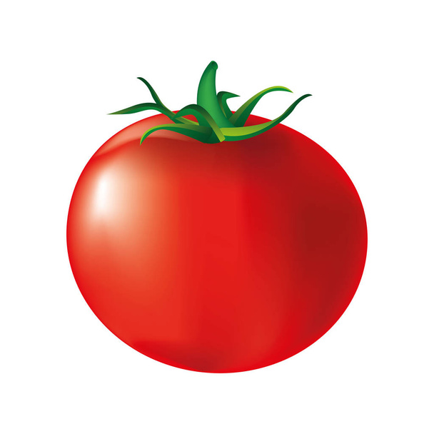 Свежий томат
 - Вектор,изображение