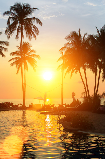 Sunset with silhouettes of palm trees - Photo, Image