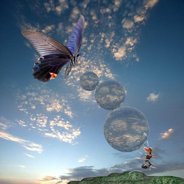 Perhonen lentää ilmassa ja ANT
 - Valokuva, kuva