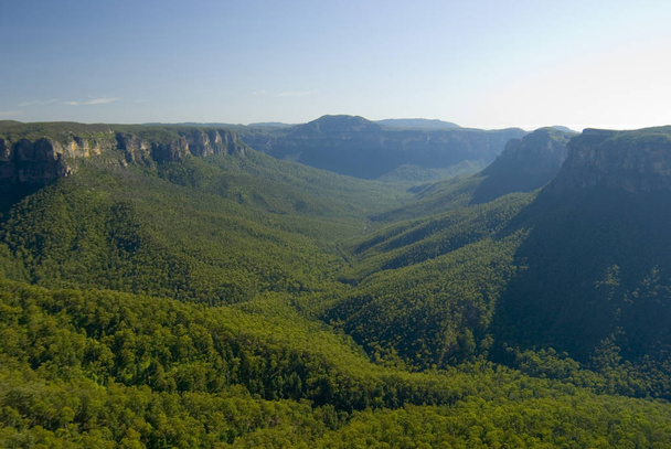 Pittoresca vista sulle Montagne Blu, NSW
 - Foto, immagini