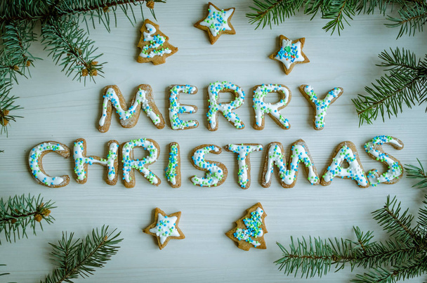 Christmas homemade gingerbread cookies - Fotografie, Obrázek