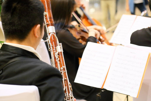 Симфонічний оркестр в приміщенні - Фото, зображення