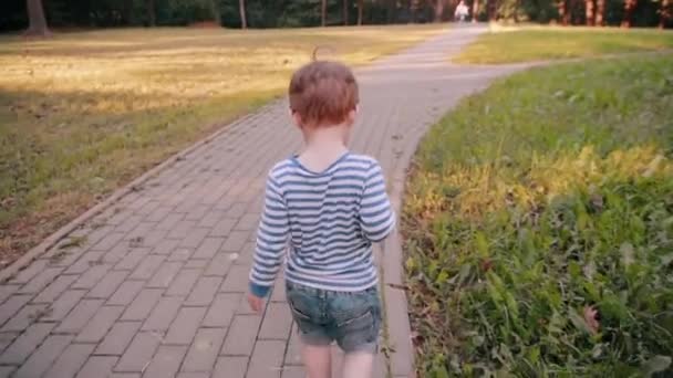 ein niedlicher kleiner Junge, der an einem sonnigen Sommertag auf einer Straße in einem Park spaziert. Rückansicht, langsam - Filmmaterial, Video