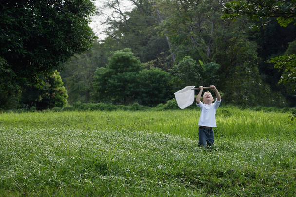 boy chasing butterflies - Foto, Imagen