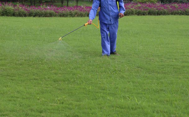 Gardener is spraying of insecticides at lawn - Photo, Image
