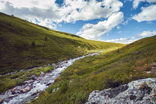 Voyage à pied dans les vallées montagneuses. La beauté de la faune. Altaï, la route des lacs Shavlinsky. Randonnée
 - Photo, image