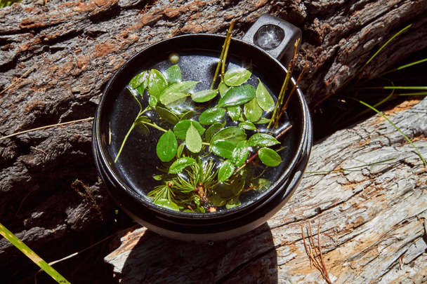 Tea made from wild berries in a mug. Medicinal herbs of Altai. To survive in field conditions - Fotoğraf, Görsel