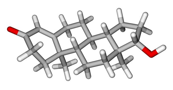 Testosterone sticks molecular model - Photo, Image