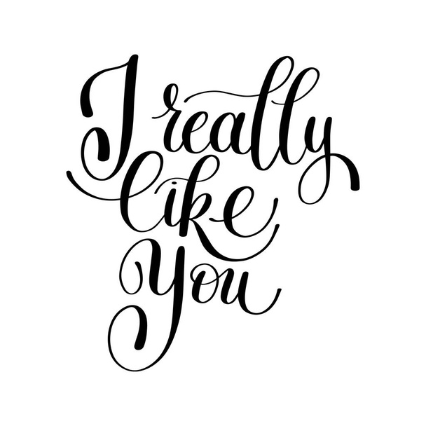 I Really Like You, Love Letter, English Handwritten Text Vector - Вектор,изображение