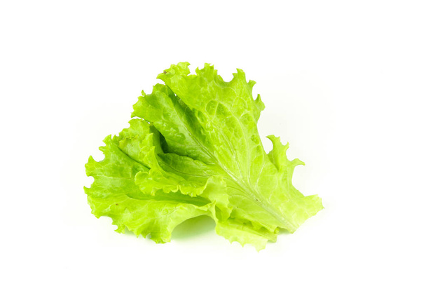 Feuille de salade, laitue isolée sur fond blanc
 - Photo, image