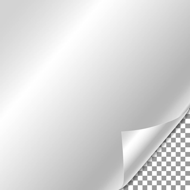 Valkoinen kaltevuus Paperi curl varjo eristetty läpinäkyvä ba
 - Vektori, kuva