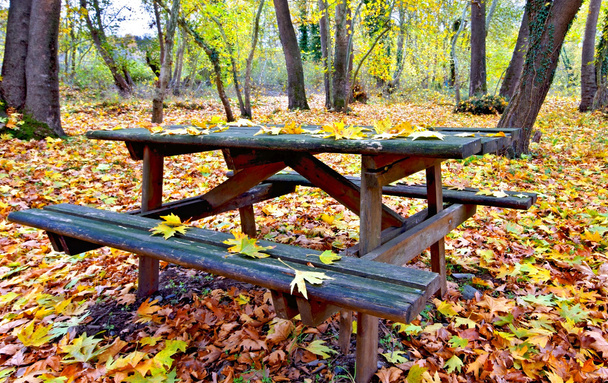 Деревянный стол и скамейка в лесу осенью
 - Фото, изображение