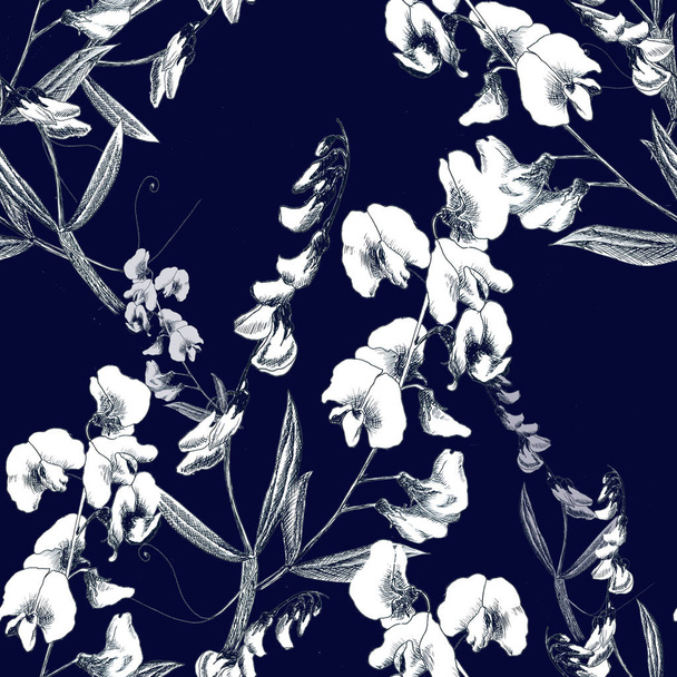 Decorative composition of flowers and leaves of sweet peas.  - Photo, Image