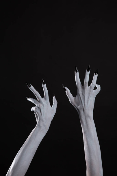 Spooky hands with black nails  - Photo, image