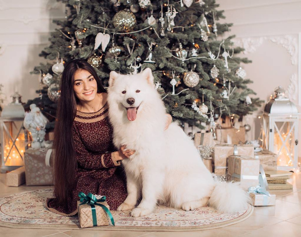 woman near the Christmas tree with samoyed dog - Φωτογραφία, εικόνα