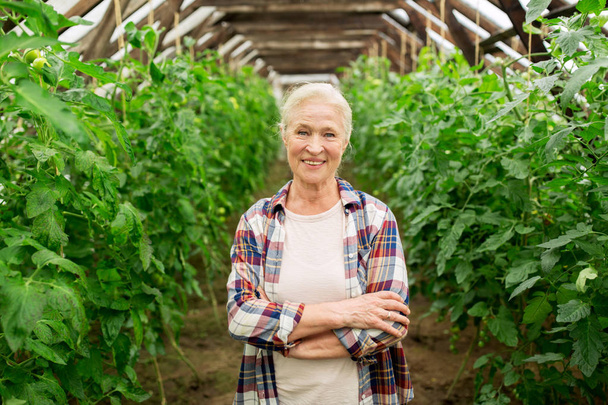 happy senior woman at farm greenhouse - Zdjęcie, obraz