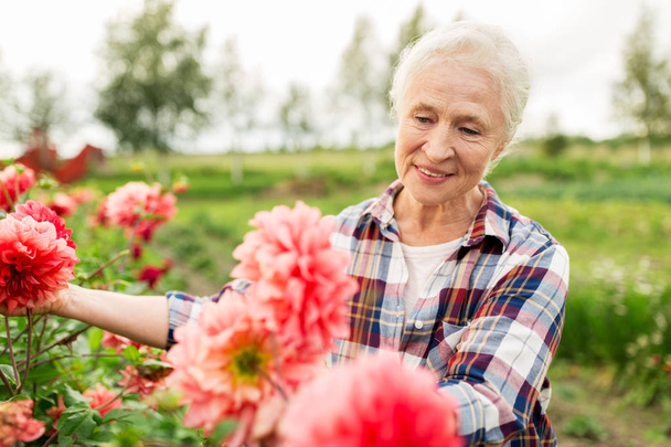 senior woman with flowers at summer garden - Photo, Image