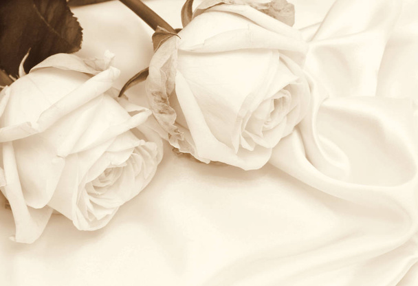  Beautiful white roses on white silk as wedding background. In S - Foto, Bild