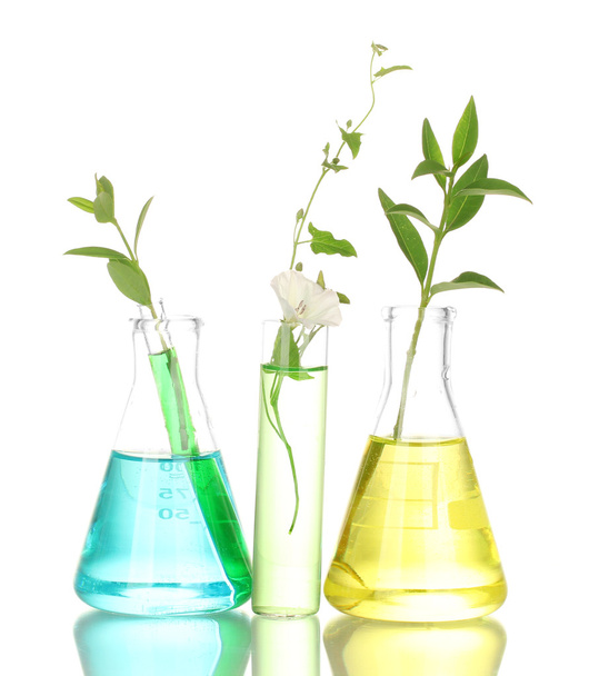 test-tubes with a colorful solution and plant isolated on white close-up - Foto, Imagem