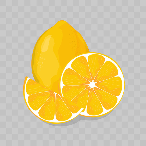 Zitrone isolierte Vektorillustration - Vektor, Bild
