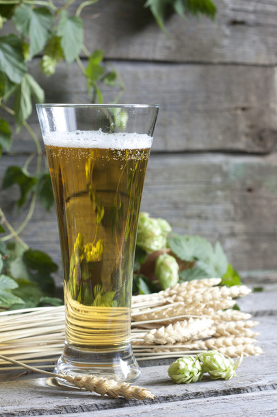 Glass of beer with hop on wooden boards - Foto, imagen