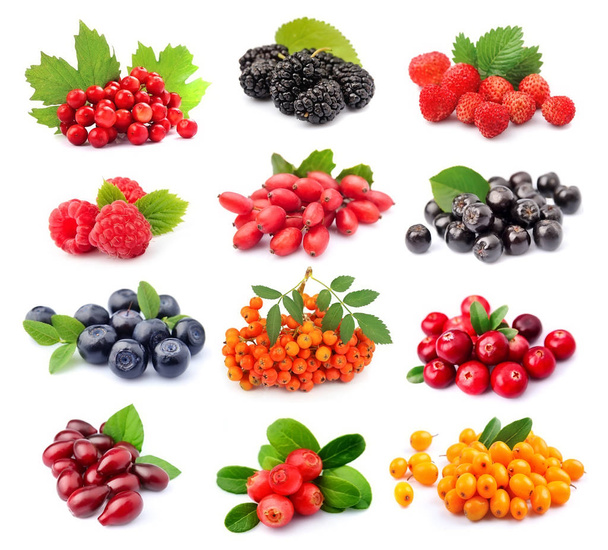 Collage of wild berry isolated - Photo, image