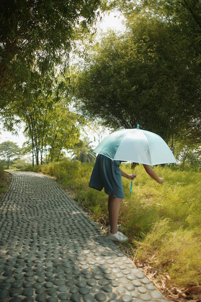 Young girl holding an umbrella - Foto, Imagen