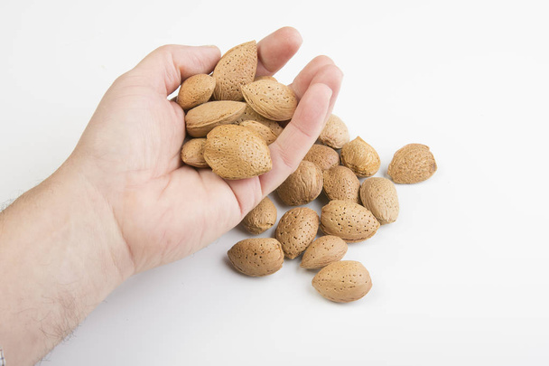 Some almond fruits - Foto, imagen