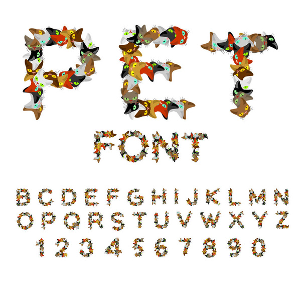 Pet font. Cat alphabet. letters of cats. Pets typography - Vector, Image