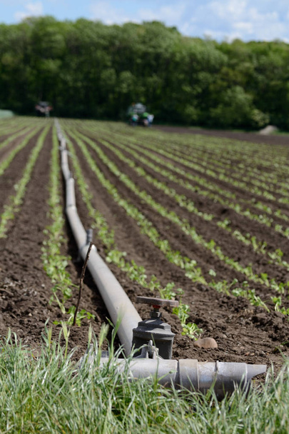 Système d'irrigation agricole
 - Photo, image