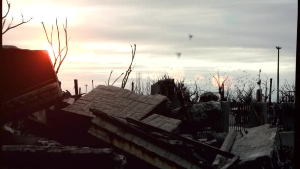 Vogelschwarm über der Geisterstadt Epecuen bei Sonnenuntergang, Provinz Buenos Aires, Argentinien.  - Filmmaterial, Video