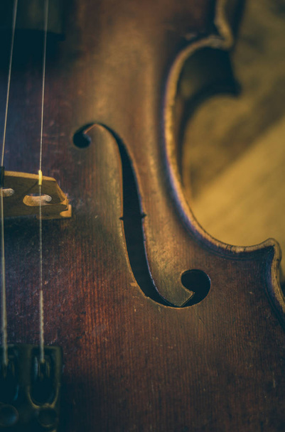 Old violin in close-up - Fotó, kép
