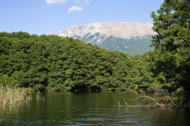 Спокій Македонська річка
 - Фото, зображення