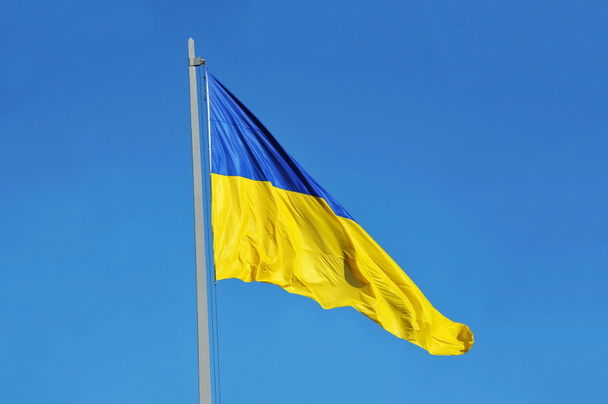 Bandera de Ucrania
 - Foto, imagen