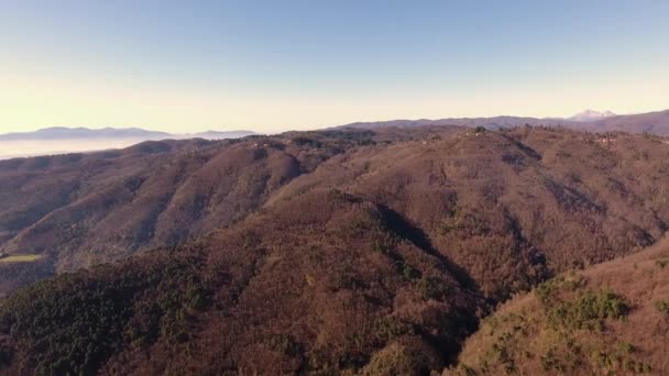 Aerial shot , gorgeous hills in the morning fog, sun high in the sky and beautiful autumn colors - Footage, Video