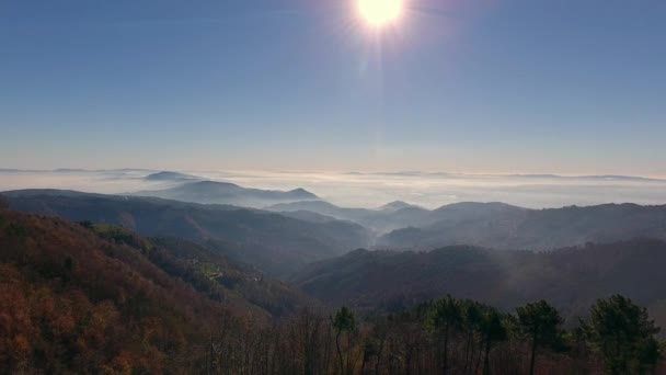 Vue aérienne, collines magnifiques dans le brouillard du matin, soleil haut dans le ciel et belles couleurs d'automne
 - Séquence, vidéo