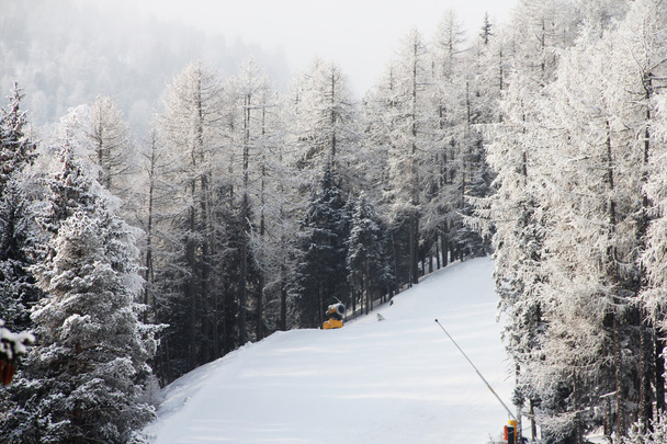 Красивий ліс в зимових горах
 - Фото, зображення