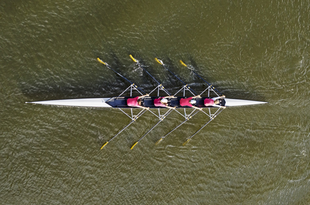 Women's rowing team, top view - Photo, Image