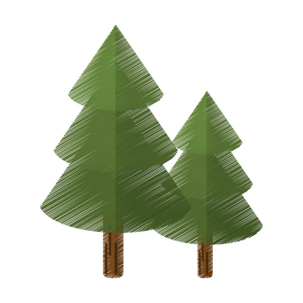 colored canadian evergreen tree pine - Vektor, obrázek